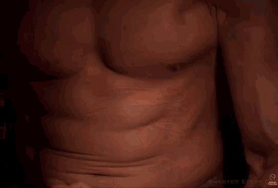Abs Guts GIF - Abs Guts Punch GIFs