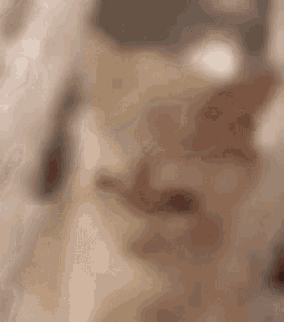 a close up of a person 's face with a dark background .