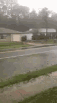 a rainy day with a few houses in the background