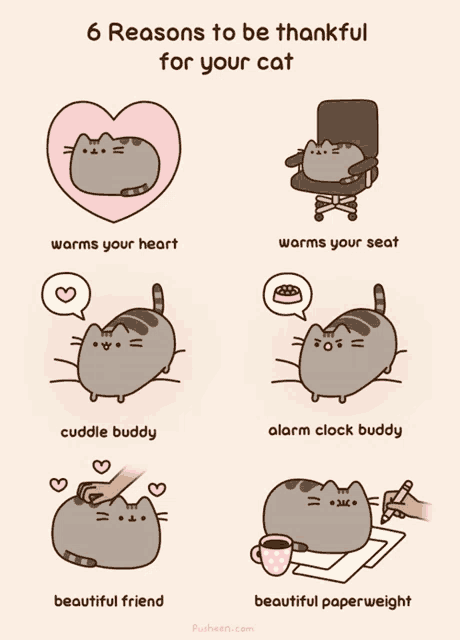 a cartoon of a cat with the words " 6 reasons to be thankful for your cat " at the top