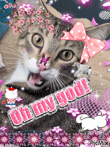a cat with a pink bow on its head says oh my gosh