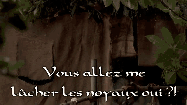 a picture of a man with the words " vous allez me lacher les noyaux oui " on the bottom