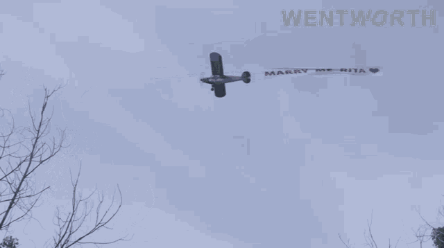 a plane is flying in the sky with a banner that says marry me rita on it