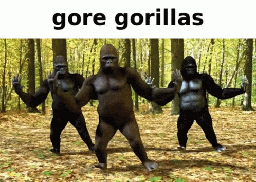 Gore Gorilla Gorilla GIF