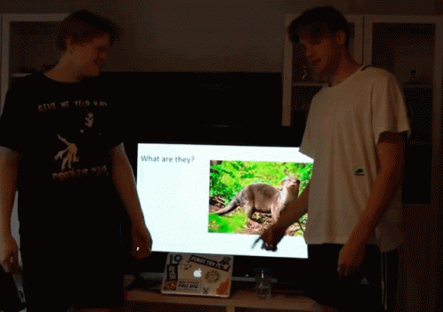 Powerpoint Otters GIF - Powerpoint Otters Presentation GIFs