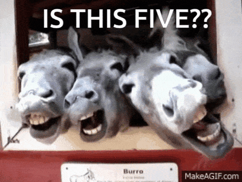 Five Fiver GIF - Five Fiver Is This Five GIFs