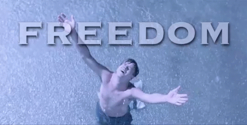 Freedom GIF - Freedom Shawshank Redemption GIFs