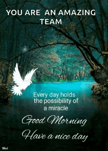 a good morning message with a dove flying over a river
