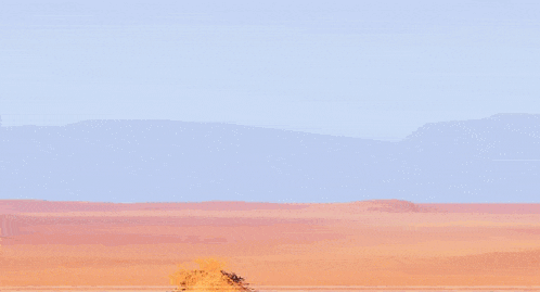 a desert scene with a tree and a police car that says sheriff