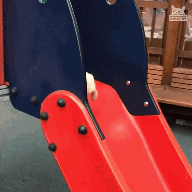 a cat is going down a slide at a playground that says collective on the bottom