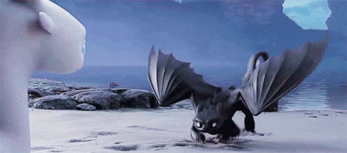 Httyd How To Train Your Dragon GIF