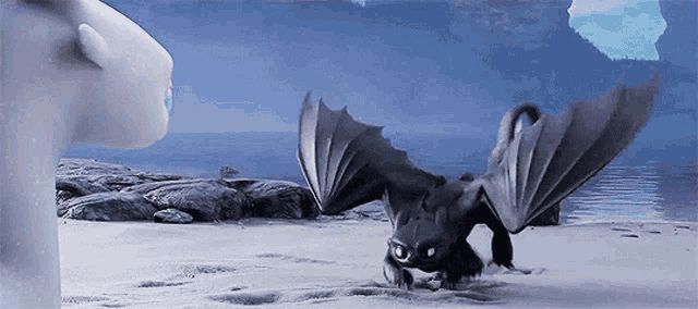 toothless and light fury from how to train your dragon are standing on a snowy beach .