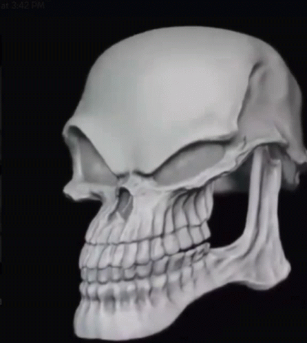 Devious Skull GIF - Devious Skull GIFs