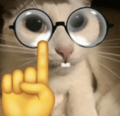 Cat Nerd Emoji GIF - Cat Nerd Emoji Nerd GIFs