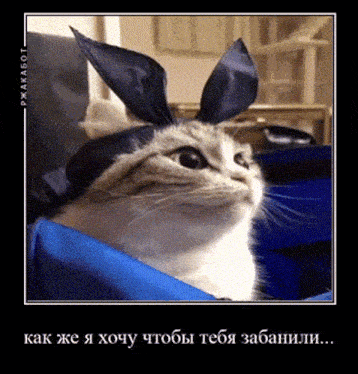 a picture of a cat wearing bunny ears with a caption in a foreign language