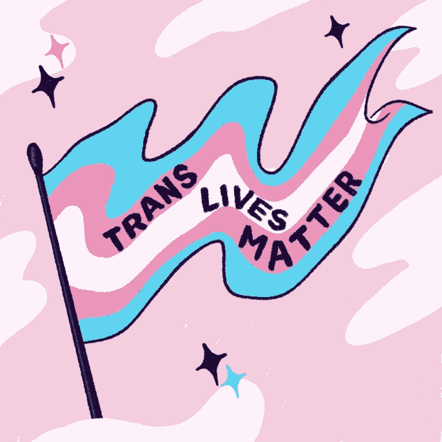 a transgender flag with the words trans lives matter on it
