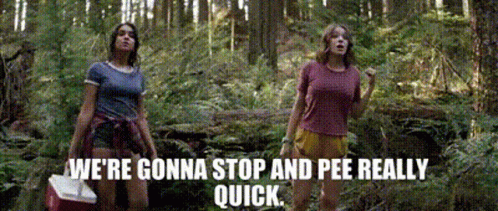 The Package Sarah GIF - The Package Sarah Were Gonna Stop And Pee Really Quick GIFs