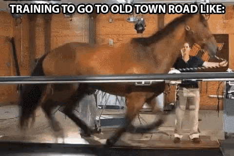 a horse is being trained to go to old town road