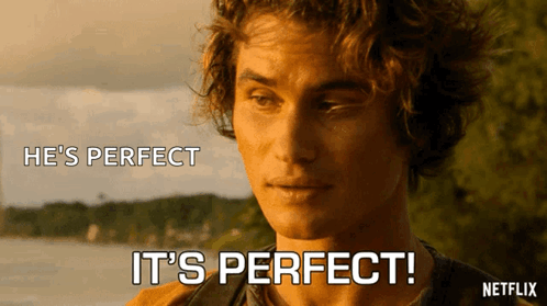 Its Perfect John B Routledge GIF - Its Perfect John B Routledge Outer Banks GIFs