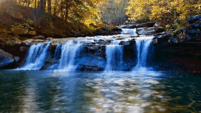 a waterfall in the middle of a forest