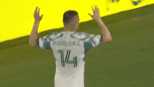 a soccer player with the name rodriguez on his back