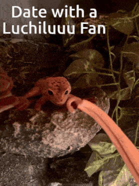 a picture of a lizard with the words date with a luchiluuuu fan