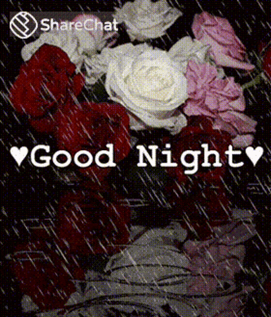 a bouquet of roses with the words " good night " on it