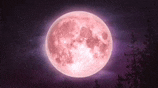 a pink full moon is shining in the night sky .