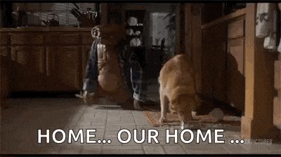 a man is kneeling down in a kitchen next to a dog that is sniffing the floor .