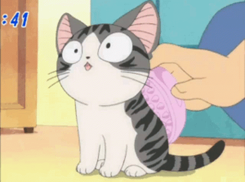 Cat Chi GIF - Cat Chi Petting GIFs