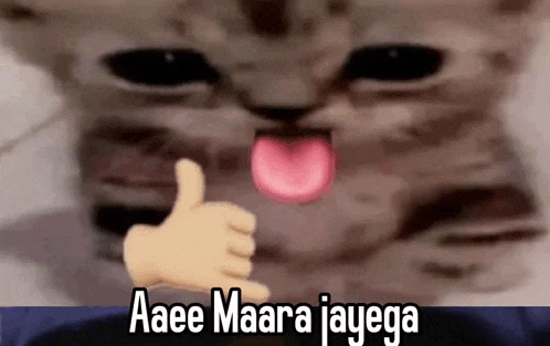 a cat with its tongue out is giving a thumbs up sign .
