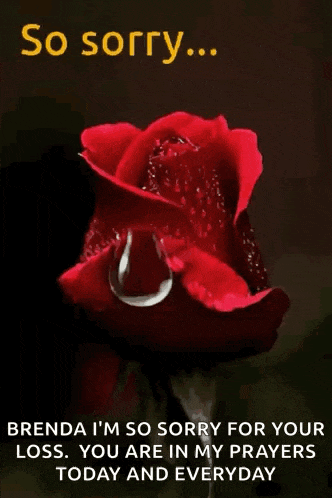a red rose with a tear coming out of it and the words so sorry brenda i 'm so sorry for your loss