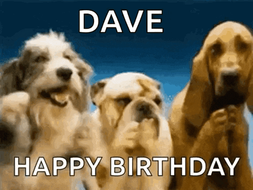 three dogs are standing next to each other with the words dave happy birthday written on the bottom