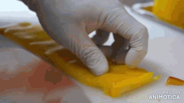a close up of a person 's hand holding a piece of food that says made in animotica on the bottom