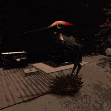 a bird with a red beak is standing next to a nest in a dark room