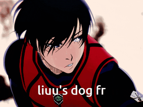 a picture of a boy with the words liuu 's dog ff