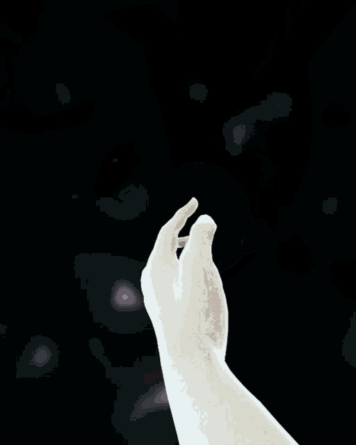 Worldwidewilly William Knies GIF