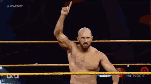 a man in a wrestling ring with the word usa on the bottom left
