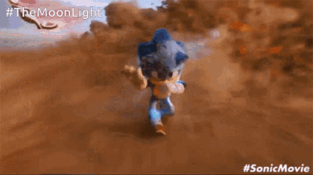 a video of sonic the hedgehog from the sonic movie running in the dirt