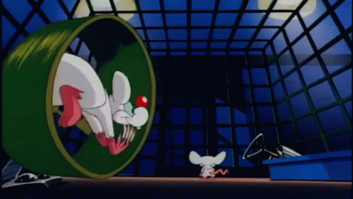 "Same Thing We Do Every Night Pinky, Try To Take Over The World." GIF - Pinknbrain Cartoon Animation GIFs