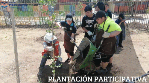 Plantacion Participativa GIF - Plantacion Participativa GIFs