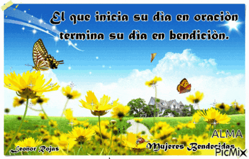 a picture of a field of yellow flowers with the words alma mujeres bendecidas