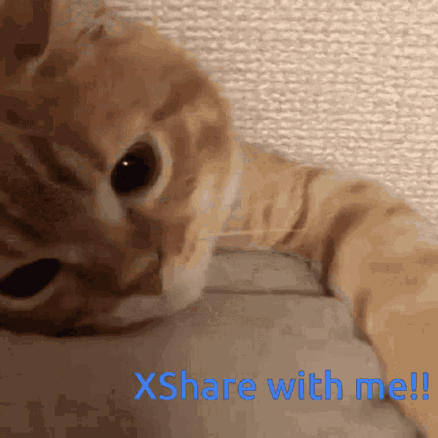 Share X Share GIF - Share X Share Share App GIFs