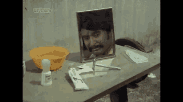 a man is looking at himself in a mirror with bayshore written on the bottom right