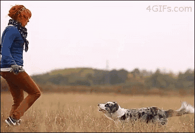 a woman playing with a dog in a field with the website 4gifs.com