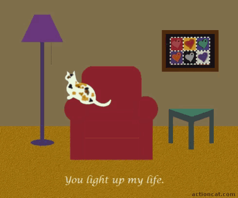 Love Cats GIF - Love Cats You Light Up My Life GIFs