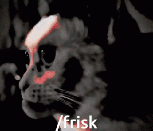 Frisk Rofaworld GIF - Frisk Rofaworld Ugly Cat GIFs