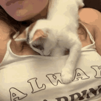 a woman is holding a kitten in her breasts .