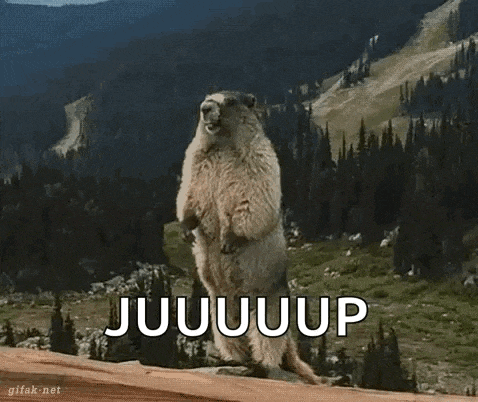 a groundhog is standing on its hind legs in front of a mountain with the words juuuuup written on it .