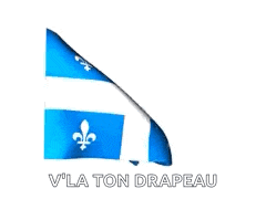 two flags are waving in the wind and the words v ' la ton drapeau are below them